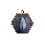 Museum Bees TRACE MAYER Museum Bees- Cicada 4