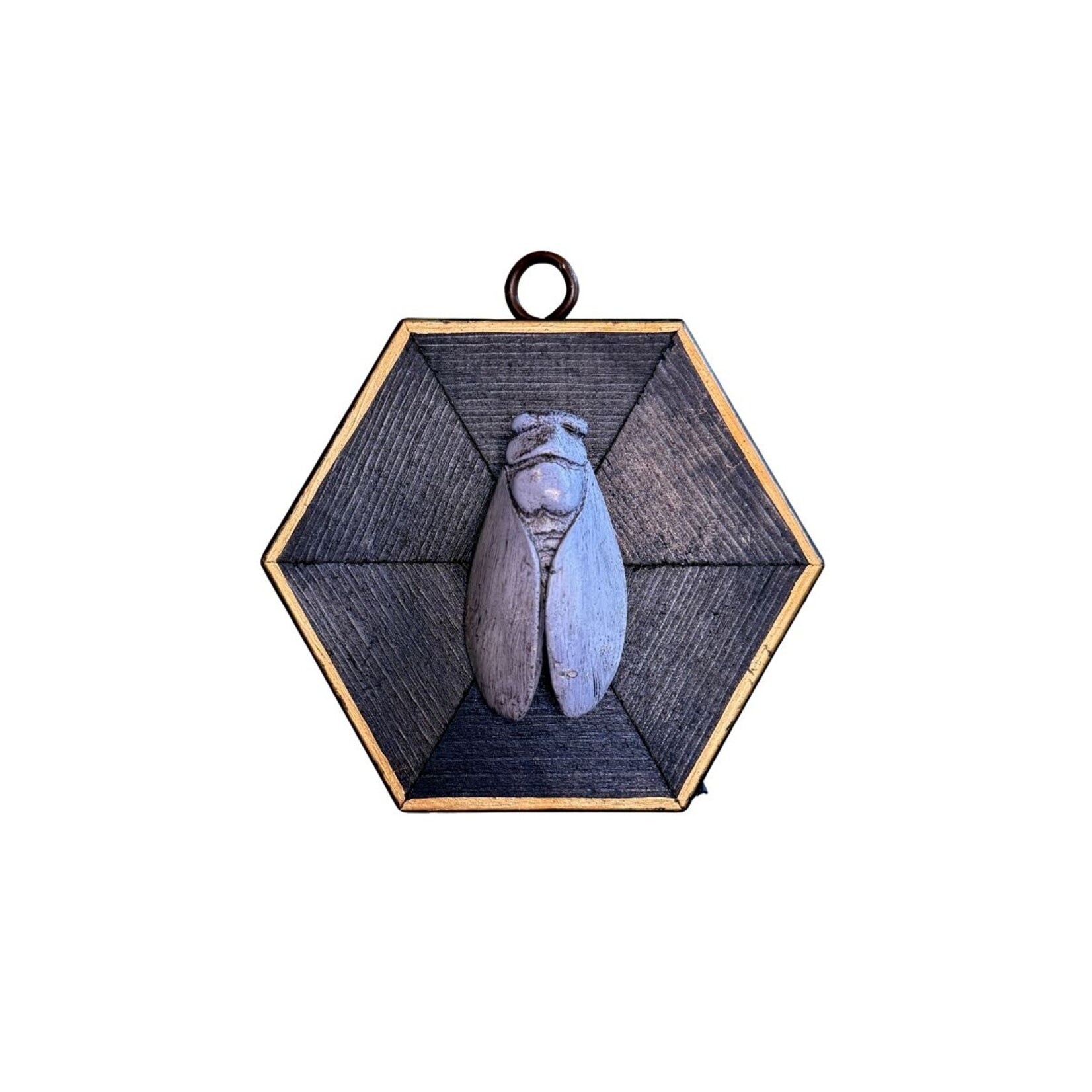 Museum Bees  TRACE MAYER Museum Bees- Cicada 4