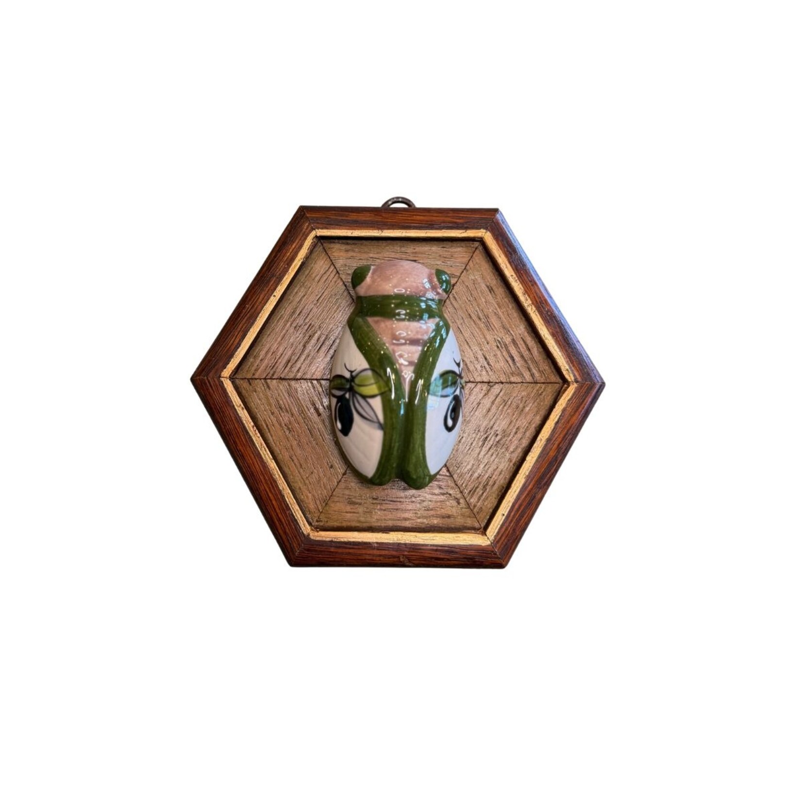 Museum Bees TRACE MAYER Museum Bees- Cicada 6