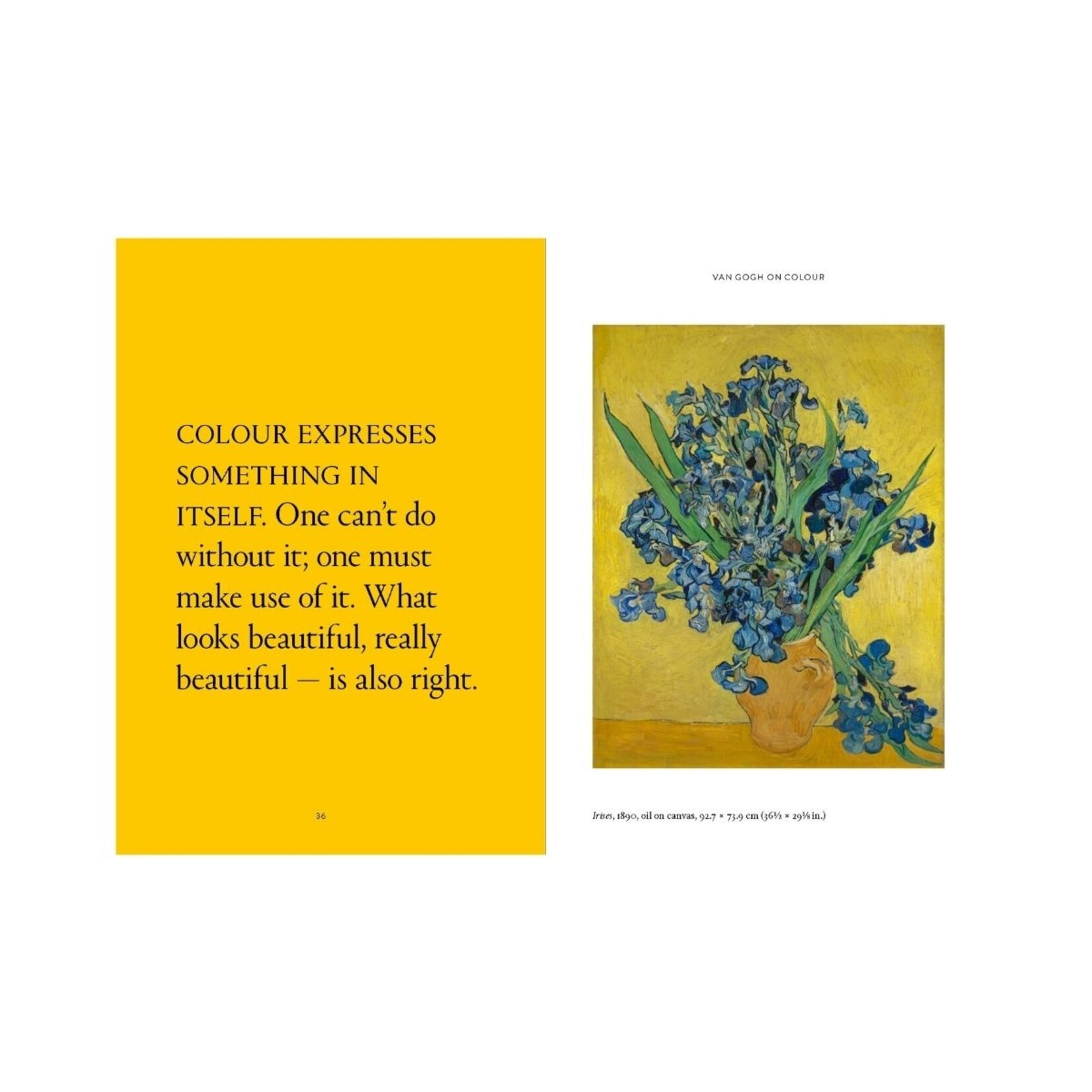 W. W. Norton The World According to Vincent Van Gogh