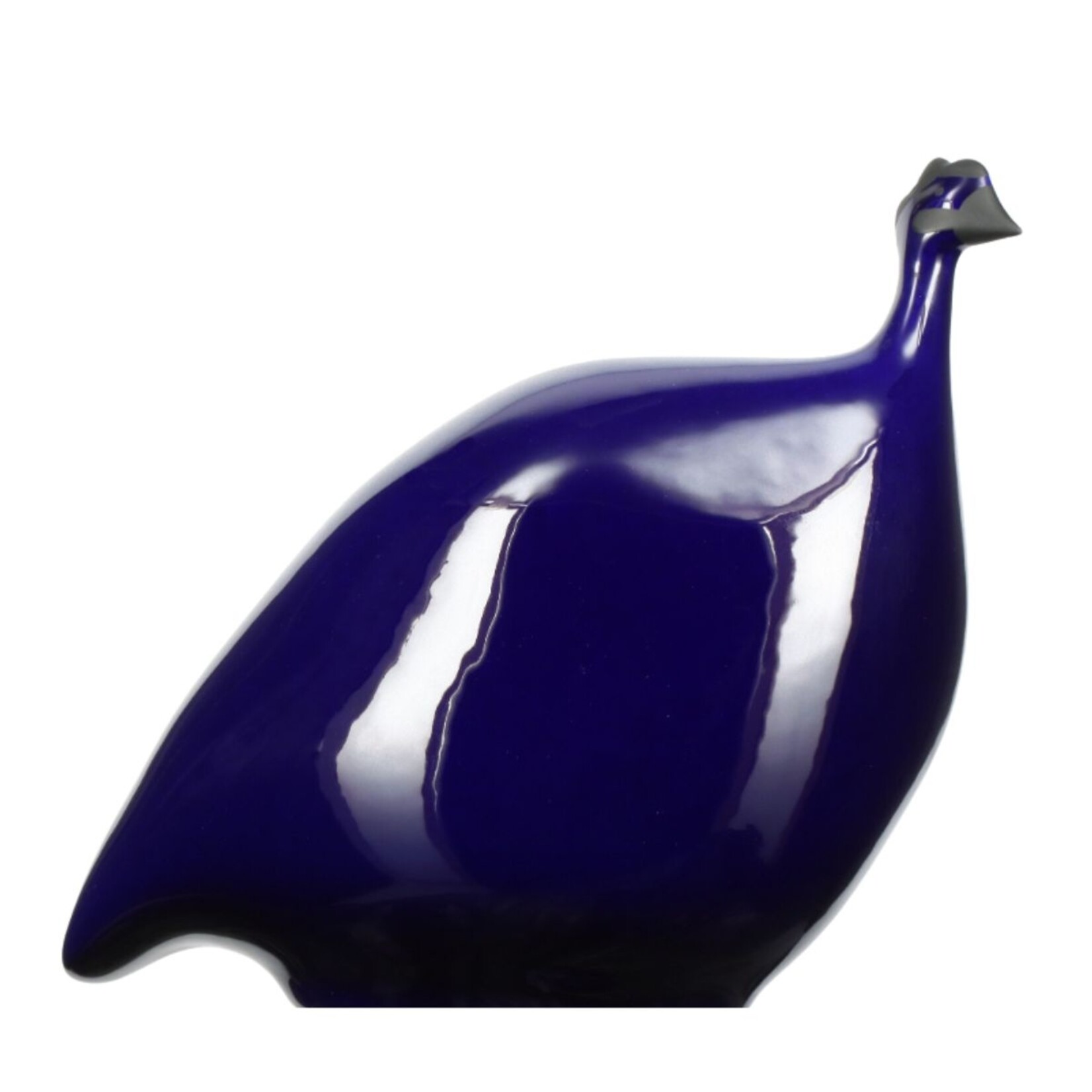 Lussan Solid Blue French Guinea Hen