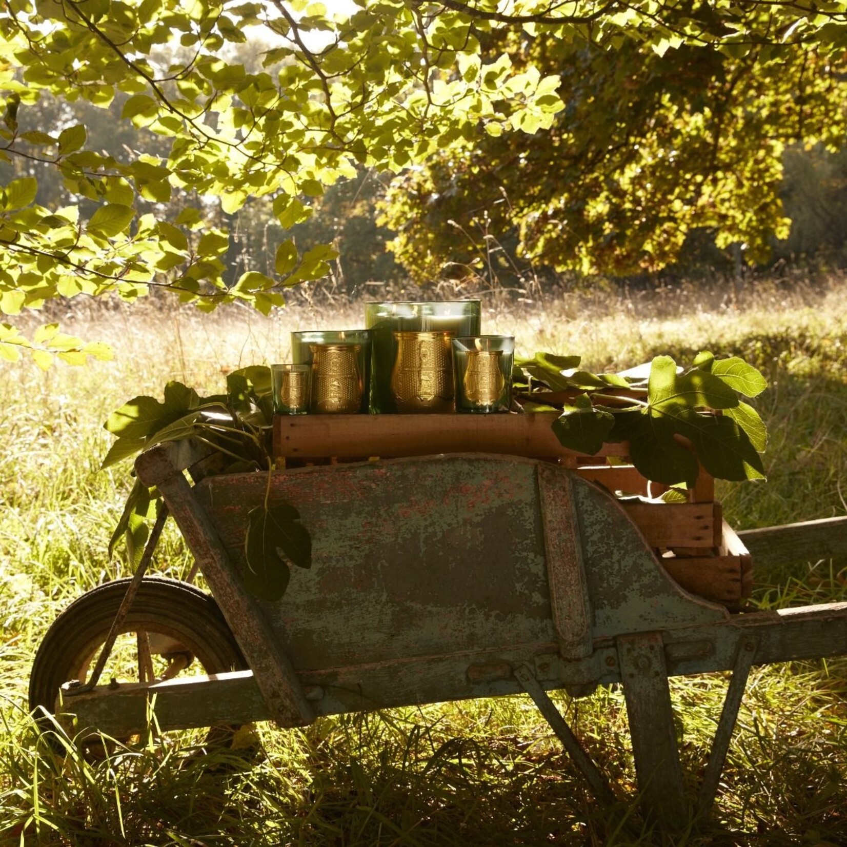 Trudon TRUDON Figuerie Candle