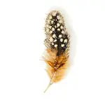 Trovelore TROVELORE Guinea Feather Brooch