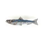 Trovelore TROVELORE Sardine Brooch