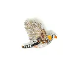 Trovelore TROVELORE Zebra Finch Brooch