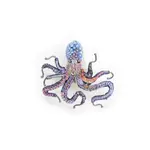 Trovelore TROVELORE Common Octopus Brooch