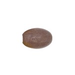 Earth & Nest Soap Holder Refill Set of 2- Exfoliating Cedar
