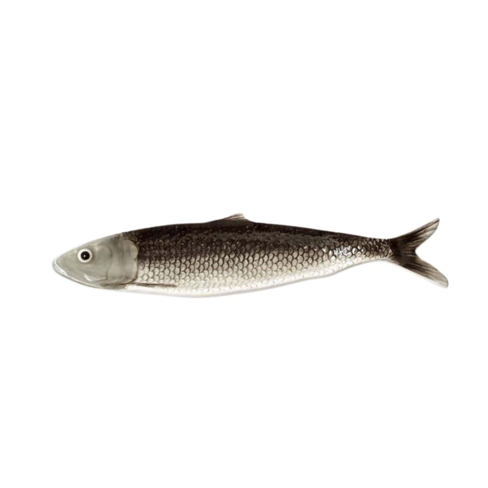 Chehoma Sardine Shape Dish