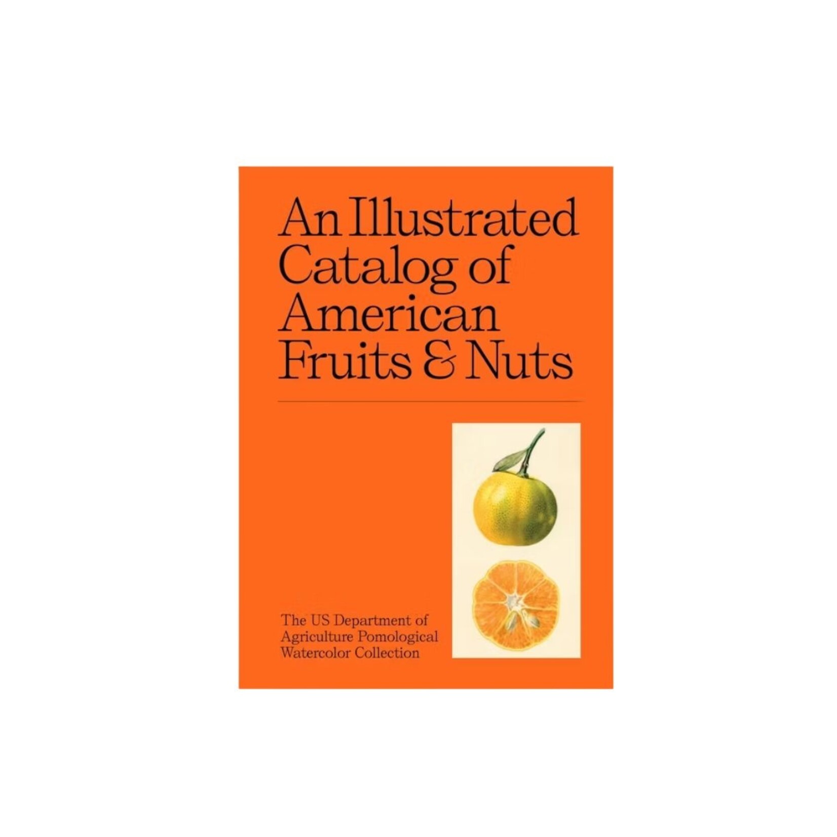 Hachette Book Group An Illustrated Catalog of American Fruits & Nuts