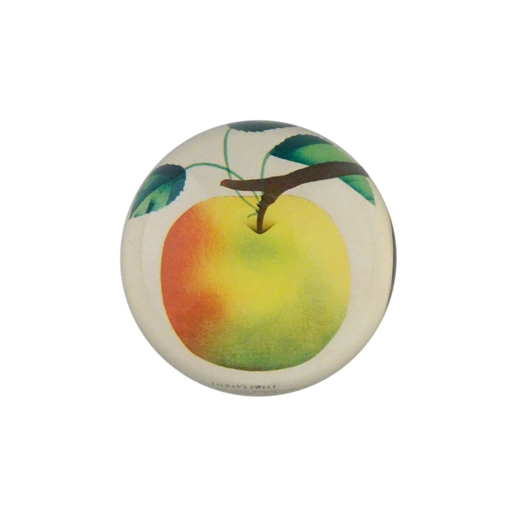 John Derian JOHN DERIAN Dome Paperweight