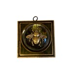 Museum Bees TRACE MAYER Museum Bees- 4