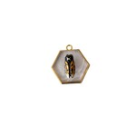 Museum Bees TRACE MAYER Museum Bees- Cicada 7