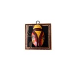Trace Mayer Antiques TRACE MAYER Museum Bees- Cicada 12