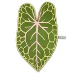 Doing Goods DOING GOODS x John Derian African Mask Leaf Rug