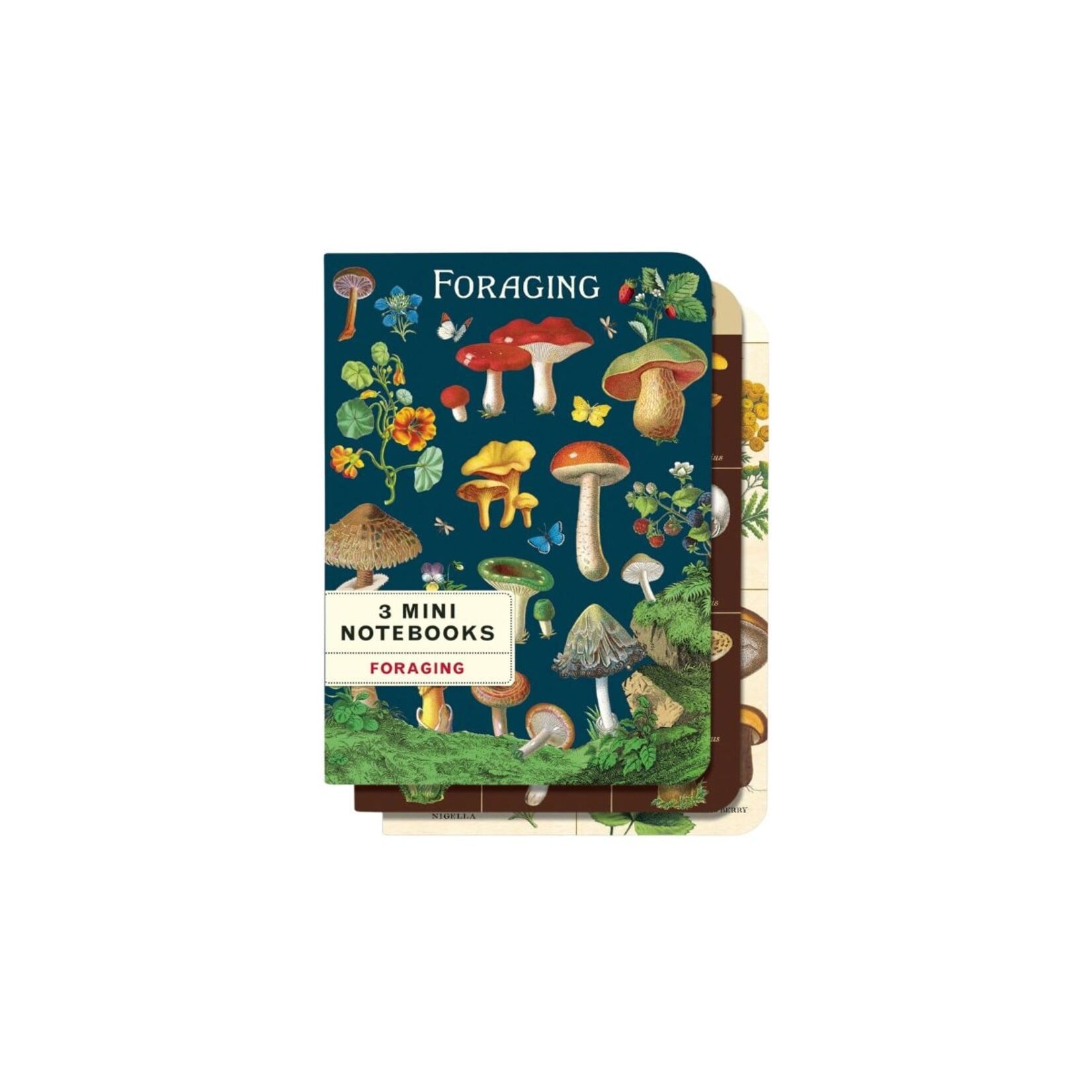 Cavallini & Co. CAVALLINI Set of 3 Mini Notebooks- Foraging