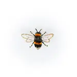 Trovelore TROVELORE Humble Bee Brooch