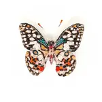 Trovelore TROVELORE Lime Swallowtail Butterfly Brooch