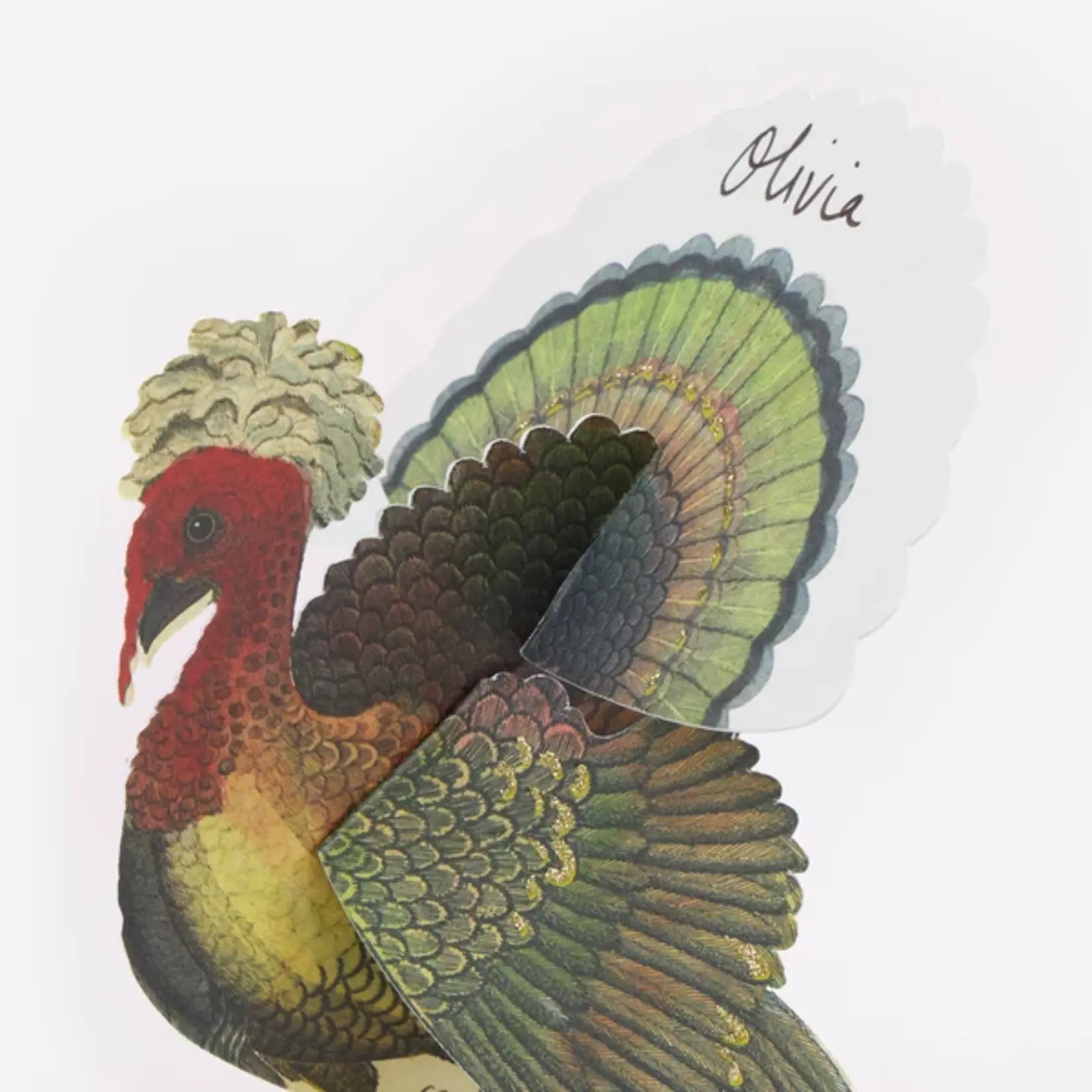 Meri Meri MERI MERI x JOHN DERIAN Turkey Place Cards