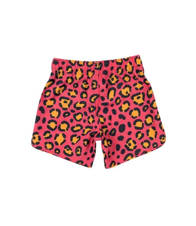 SEAESTA SURF CALICO CRAB