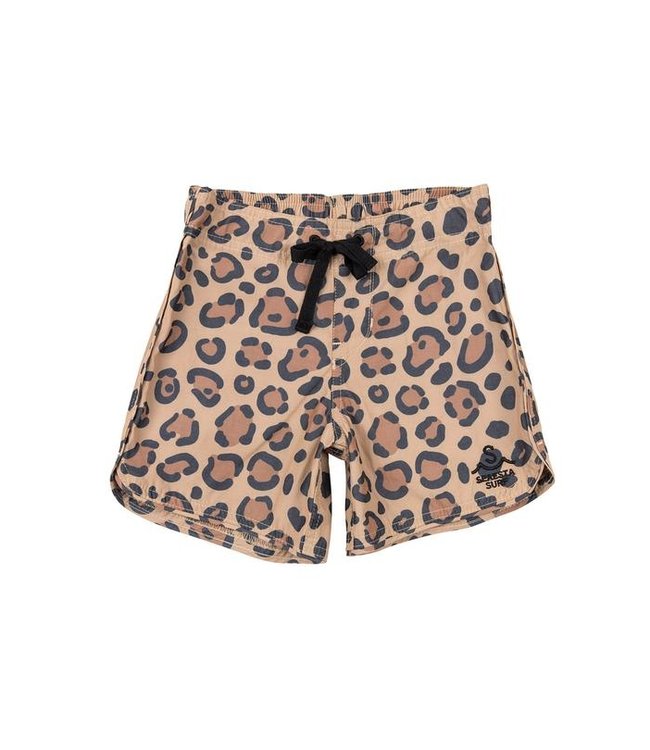 SEAESTA SURF CALICO CRAB