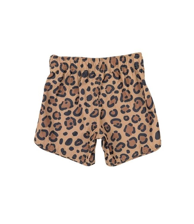 SEAESTA SURF CALICO CRAB