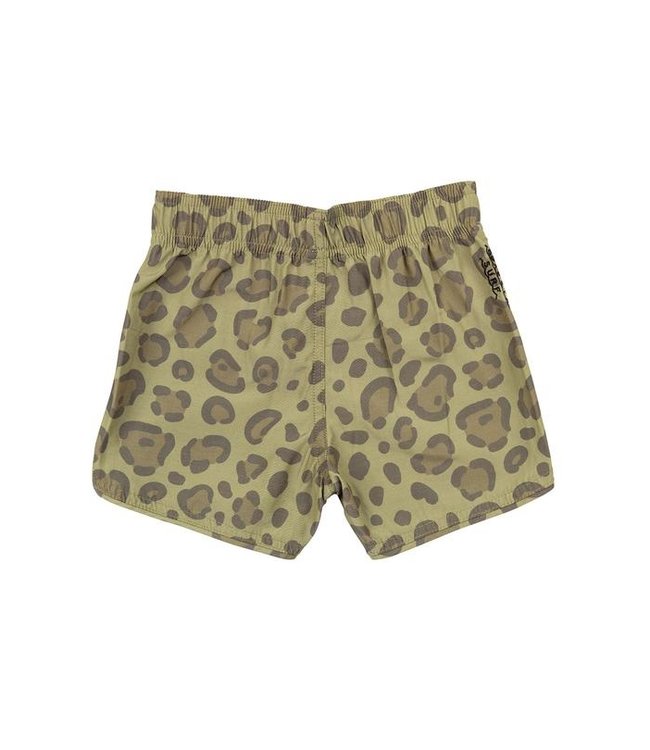 SEAESTA SURF CALICO CRAB