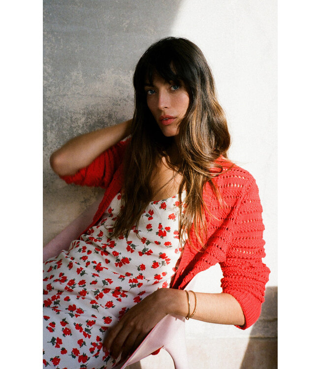 Z SUPPLY HANA LA ROSA DITSY MAXI