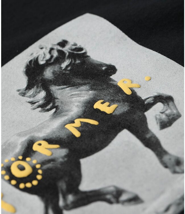 FORMER DARING T SHIRT