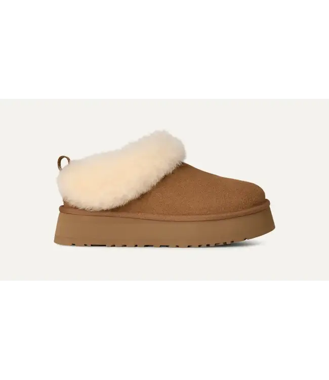 UGG TAZZELLE