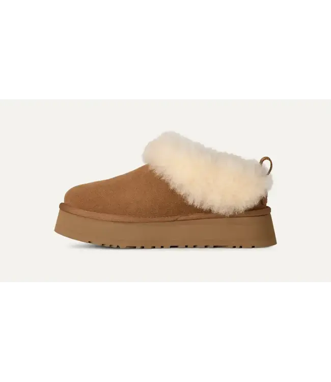 UGG TAZZELLE