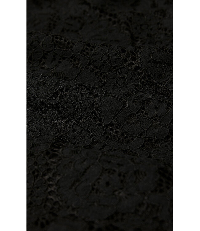 Z SUPPLY NIGHTFALL LACE BODYSUIT