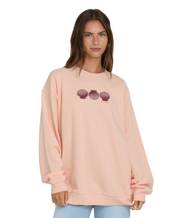 Billabong CHASING HORIZONS