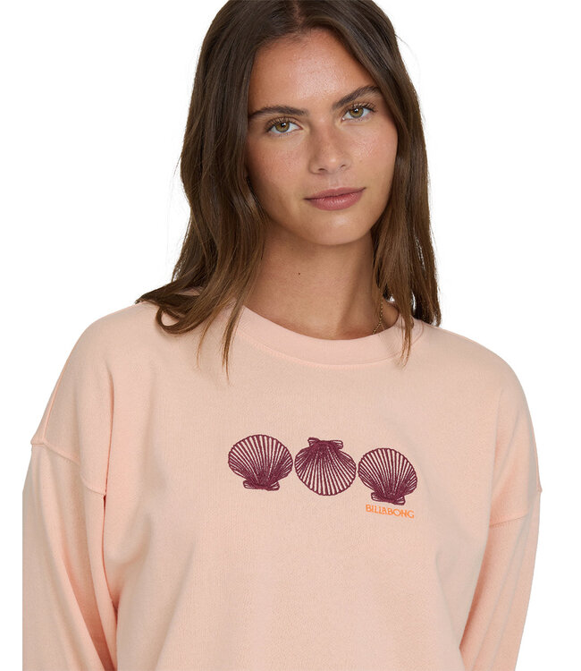 Billabong CHASING HORIZONS