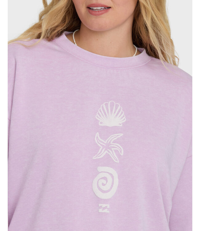 Billabong ECHO CREW FLEECE BURNOUT