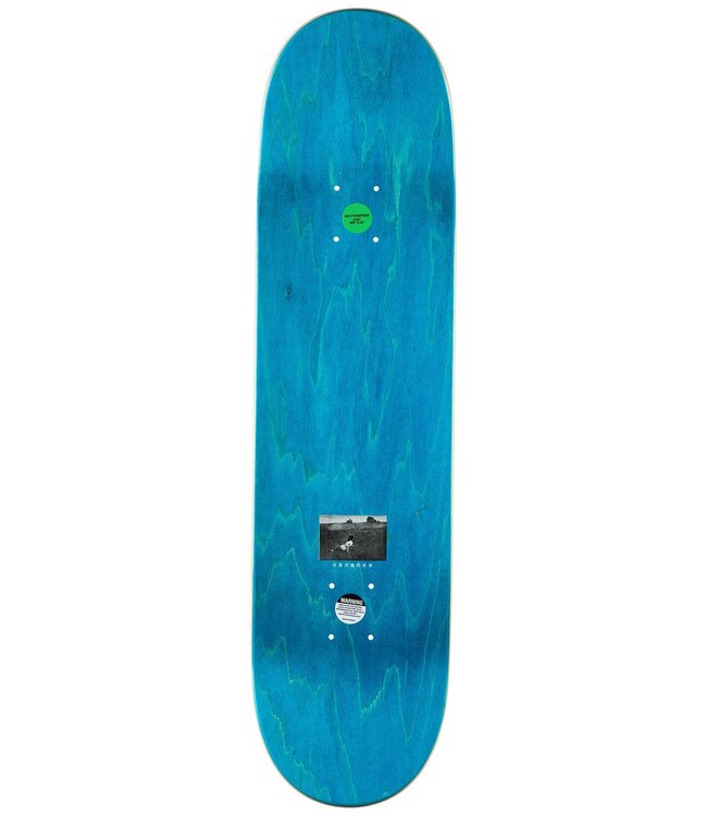 SCI-FI FANTASY Arin Lester Romance Skateboard Deck 8.25"
