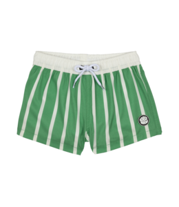 BINKY BRO Kids Swimsuit Cape Fear Green
