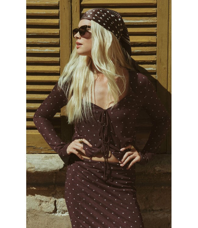 Z SUPPLY Amara Polka Dot Mesh Top Brown