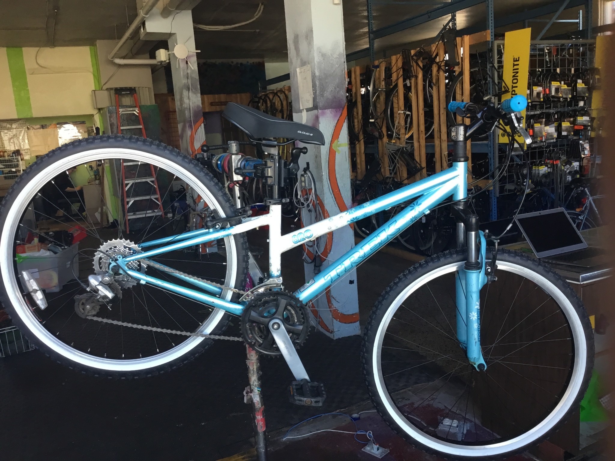 trek 820 blue