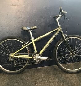 Specialized Specialized Expedition Pistachio 13 inch