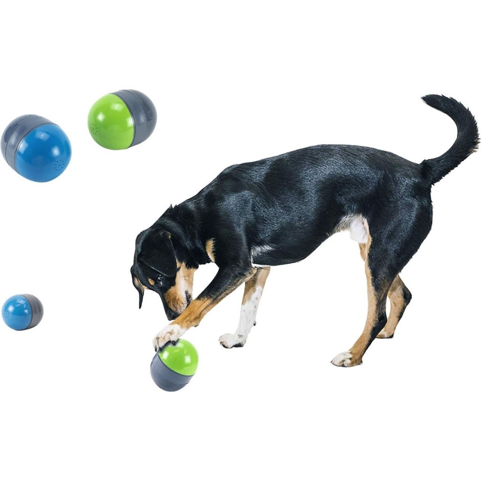 interactive dog ball