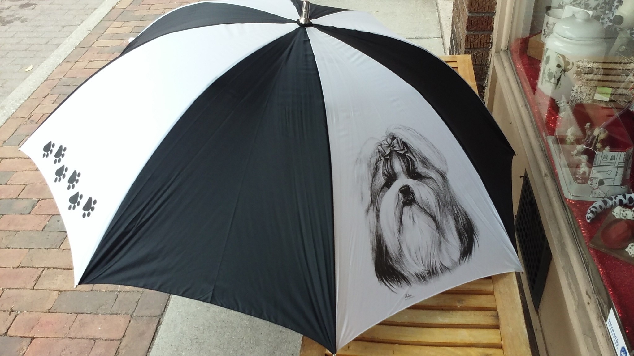 Shih Tzu Umbrella