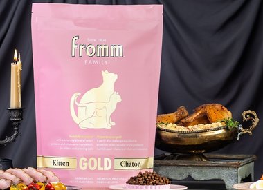 Fromms Dry Cat Food