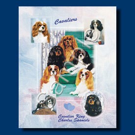 Small Gift Bag Cavalier King Charles Sp