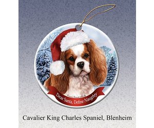 Pet Gifts Round Ornament Cavalier King