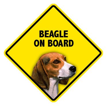 Pet On Board Sign Beagle