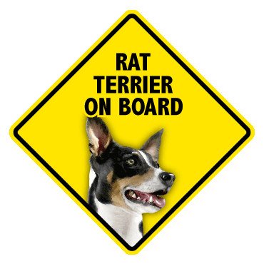 Pet On Board Sign Rat Terrier