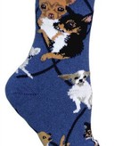 Chihuahua  Socks