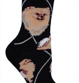 Pomeranian  Socks