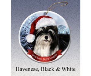 havanese gifts