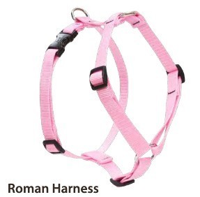 roman harness